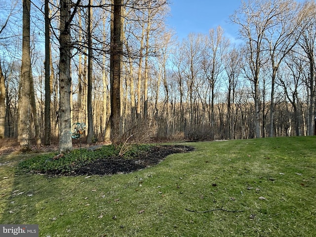 view of yard with a view of trees