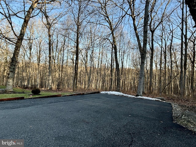 view of street with a view of trees