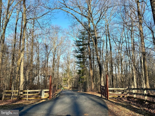 view of street with a view of trees