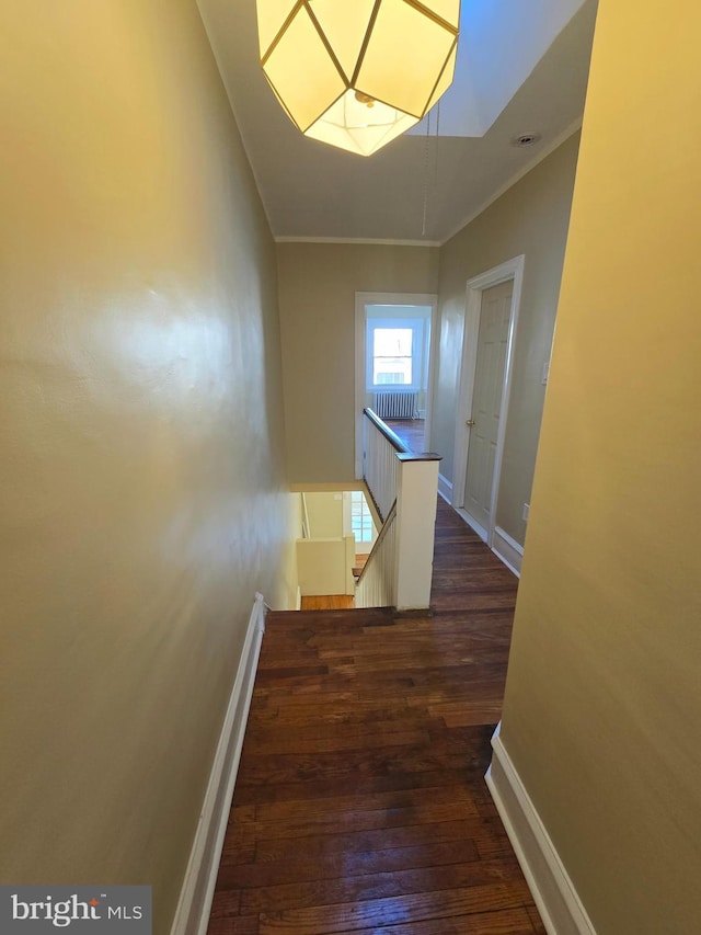 corridor with a skylight, dark wood-type flooring, and ornamental molding