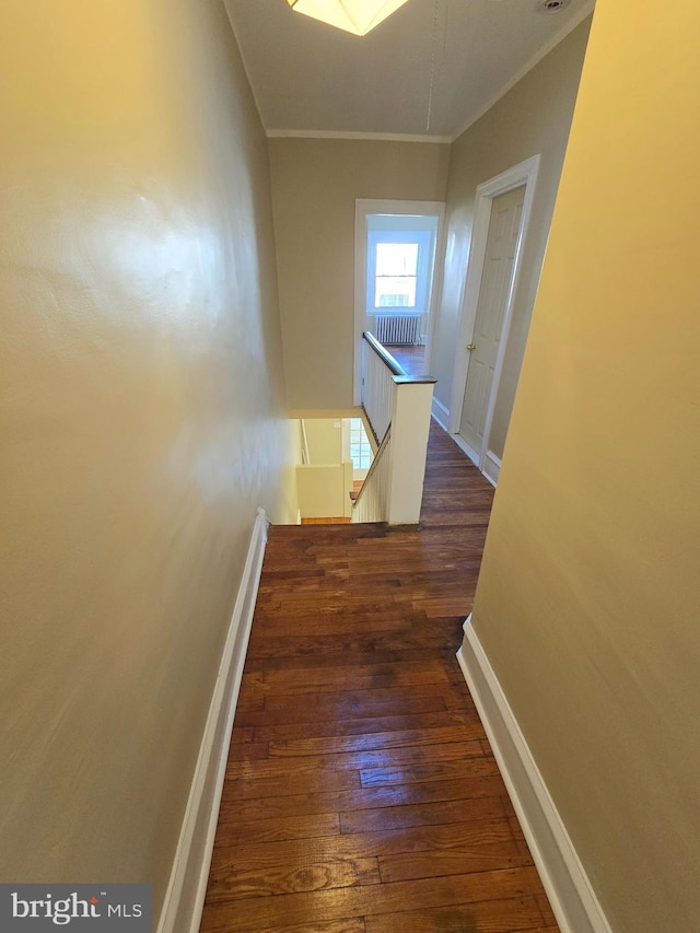 hall featuring crown molding and dark hardwood / wood-style flooring