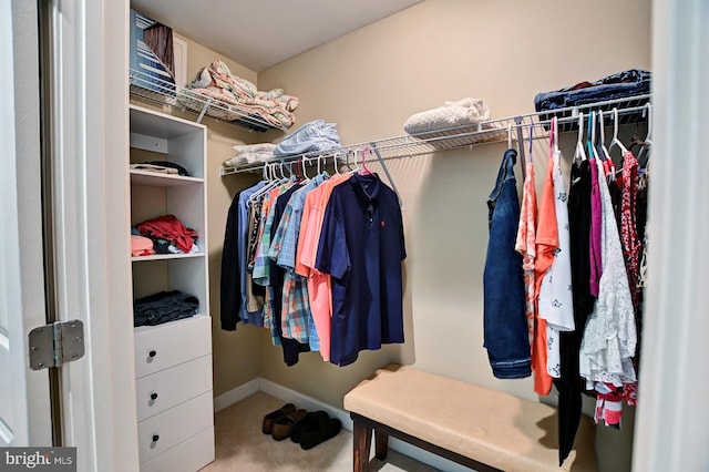 walk in closet with carpet