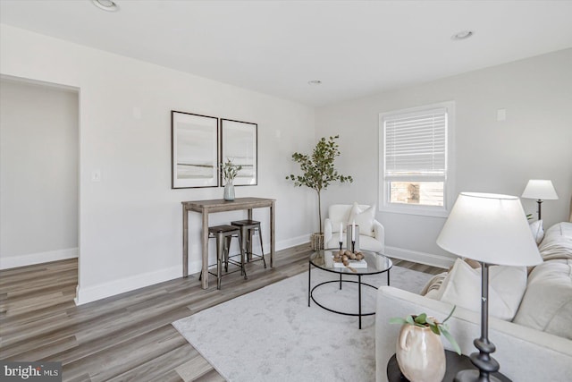 living room with hardwood / wood-style floors