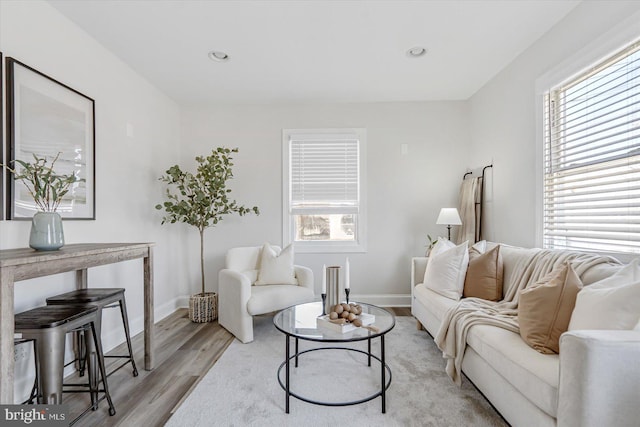 living room featuring a wealth of natural light and light wood-type flooring