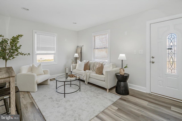 living room with wood-type flooring