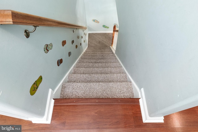 stairs featuring carpet flooring