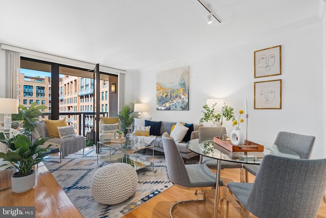 living room with expansive windows, track lighting, and wood-type flooring