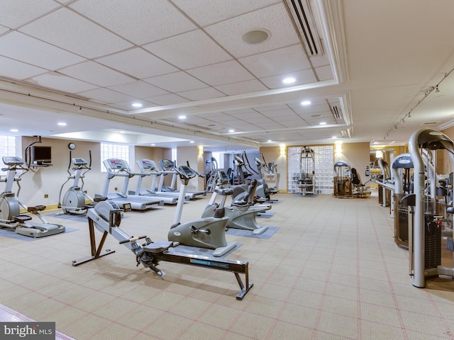 exercise room with a drop ceiling, plenty of natural light, and light carpet