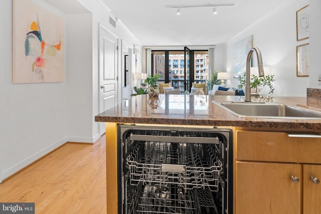 kitchen featuring crown molding, rail lighting, sink, and light wood-type flooring