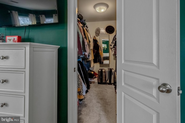 spacious closet with carpet