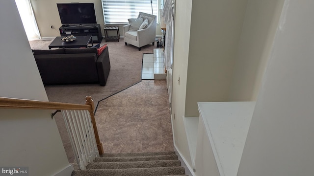 staircase featuring carpet flooring