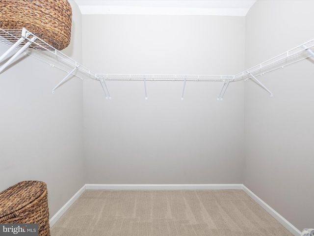 walk in closet with light colored carpet