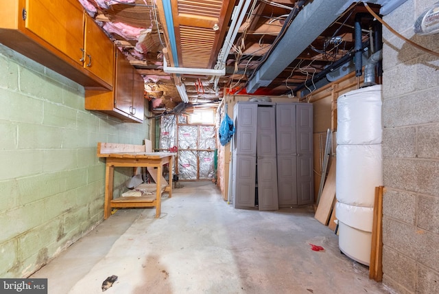 basement with gas water heater