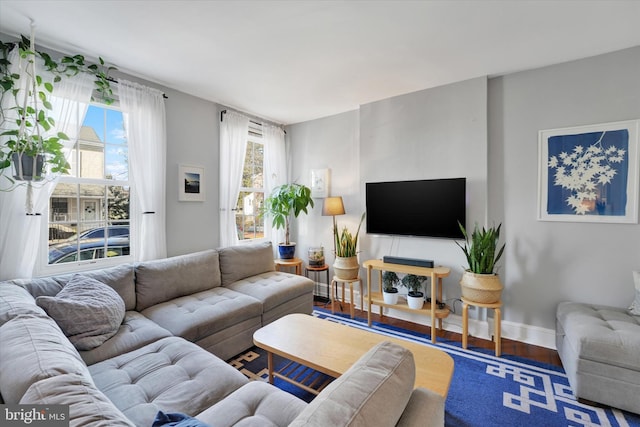 living room featuring hardwood / wood-style floors