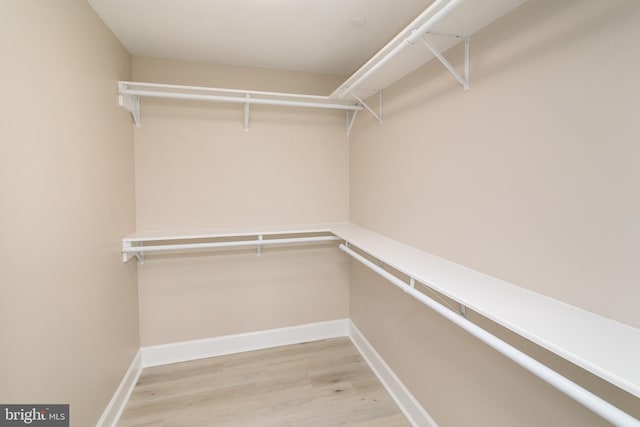 walk in closet featuring light wood-type flooring