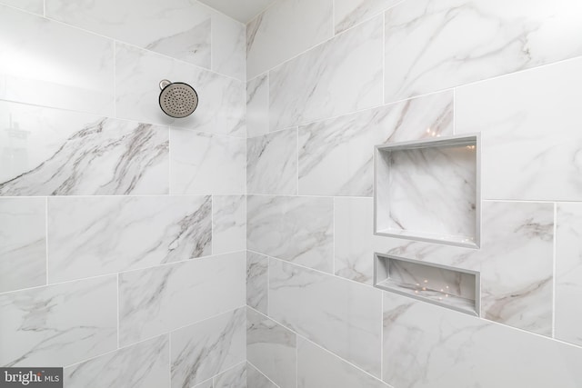 interior details featuring walk in shower