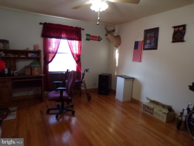 office space with hardwood / wood-style flooring and ceiling fan