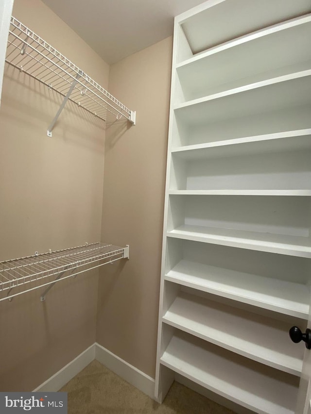 walk in closet featuring carpet flooring