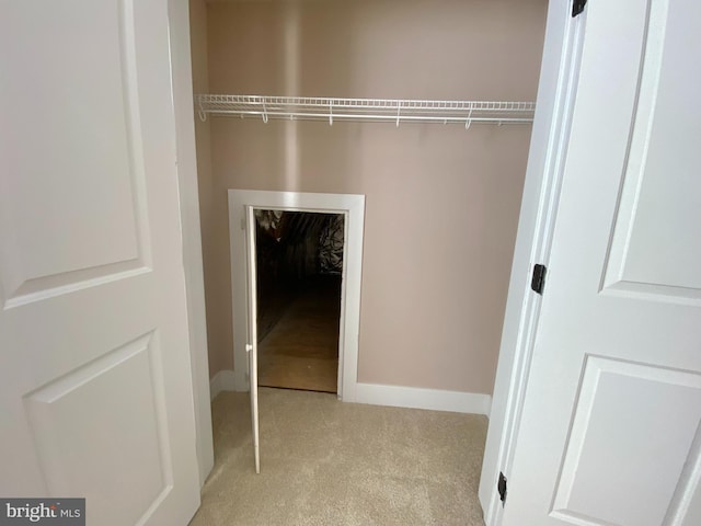 view of closet