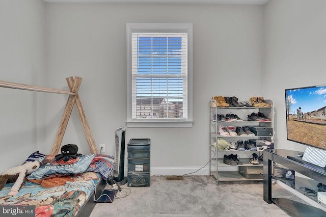 interior space with light colored carpet