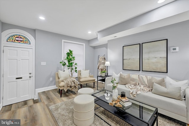 living room featuring hardwood / wood-style floors