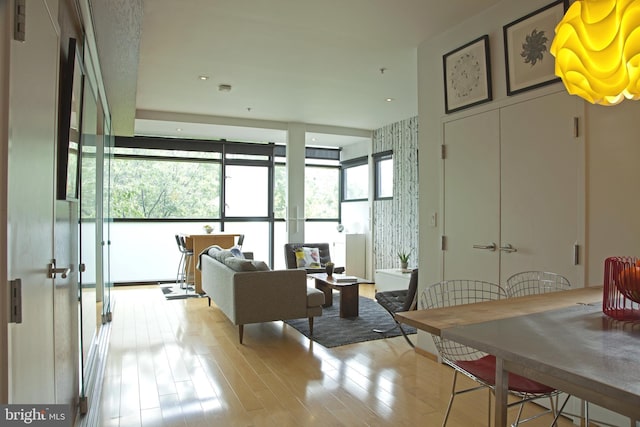 living room featuring wood finished floors