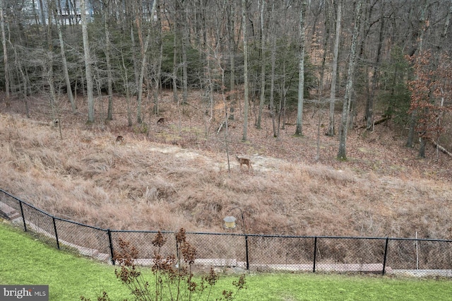 view of yard featuring fence