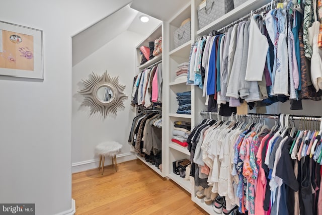 spacious closet with hardwood / wood-style flooring