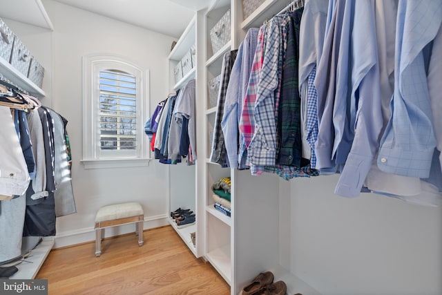 walk in closet with wood-type flooring