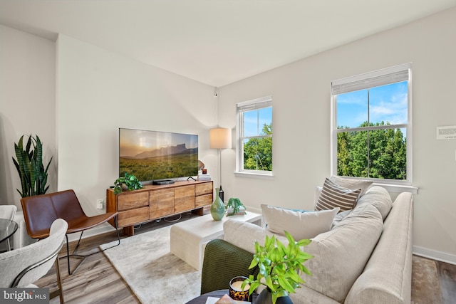 living room featuring hardwood / wood-style flooring