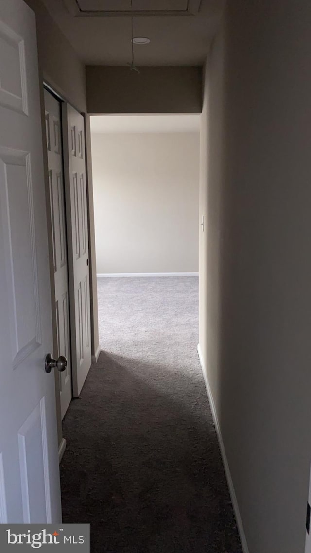 corridor with carpet flooring