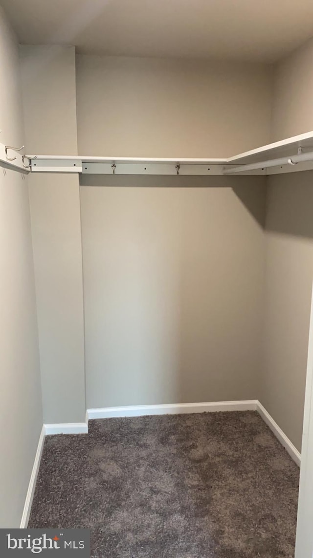 walk in closet featuring dark carpet