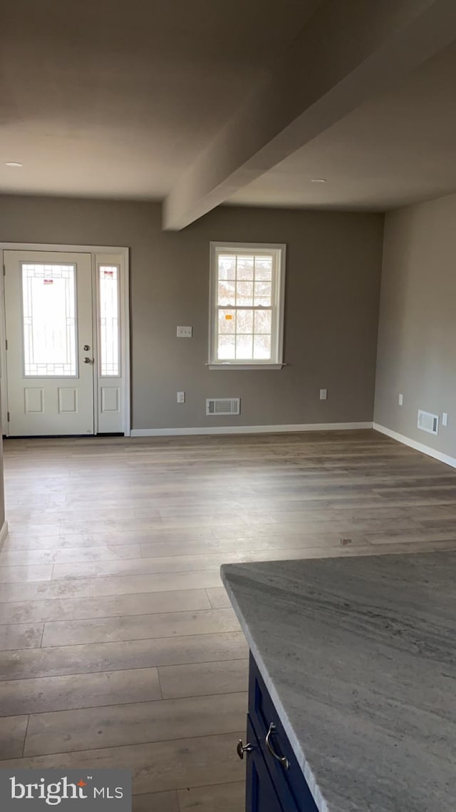 foyer entrance featuring a wealth of natural light and light wood-type flooring