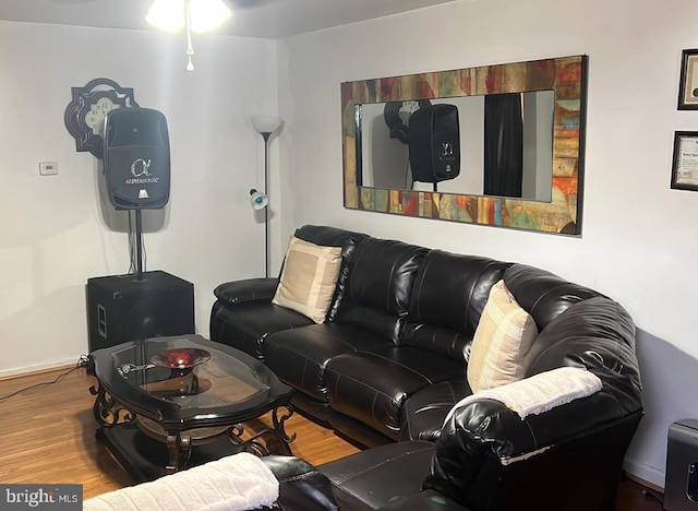 living room featuring hardwood / wood-style flooring