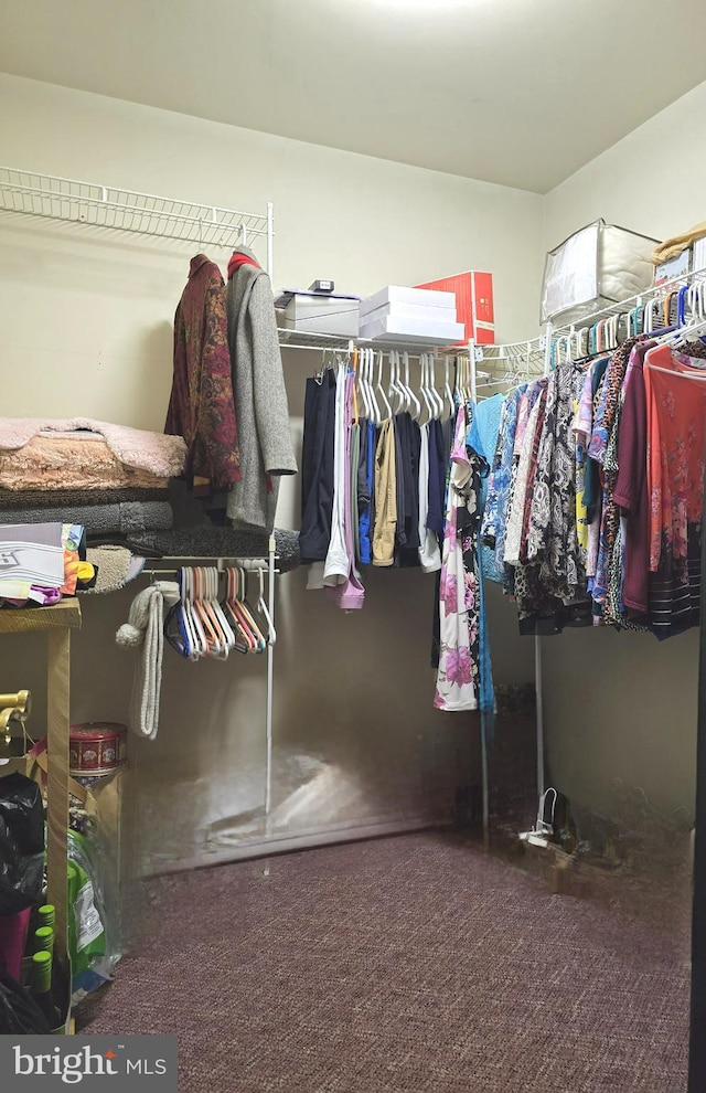 walk in closet with carpet