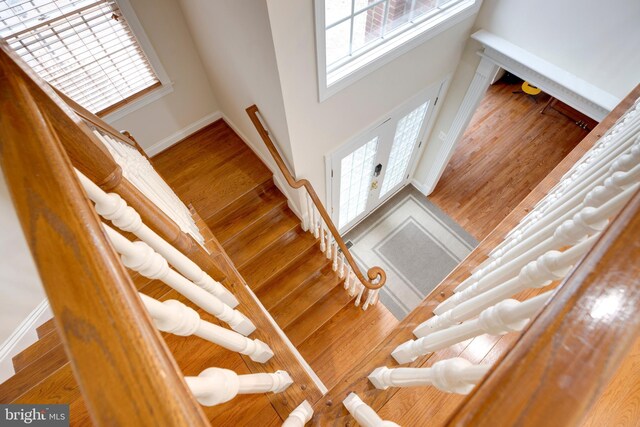 staircase with hardwood / wood-style floors and a healthy amount of sunlight