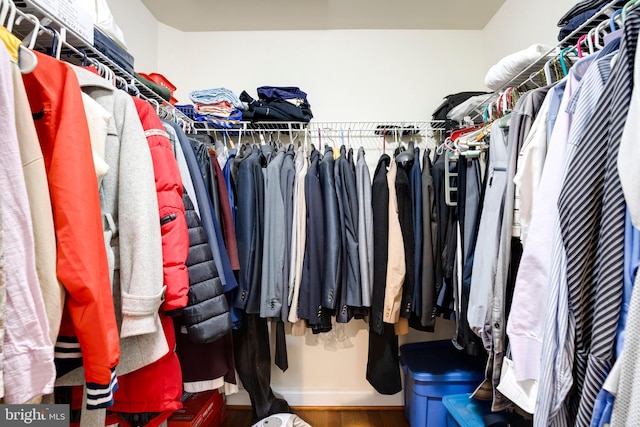 spacious closet featuring hardwood / wood-style flooring