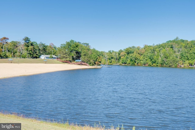 12452 White Horse Rd, Lusby, MD 20657 - property view of water with a view of trees