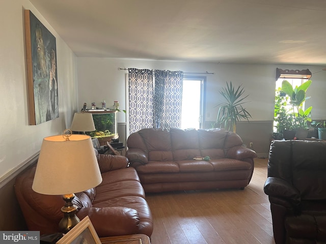 living room with wood-type flooring