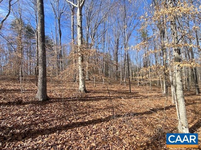 Listing photo 3 for 0 Merion Dr Lot 299, Gordonsville VA 22942