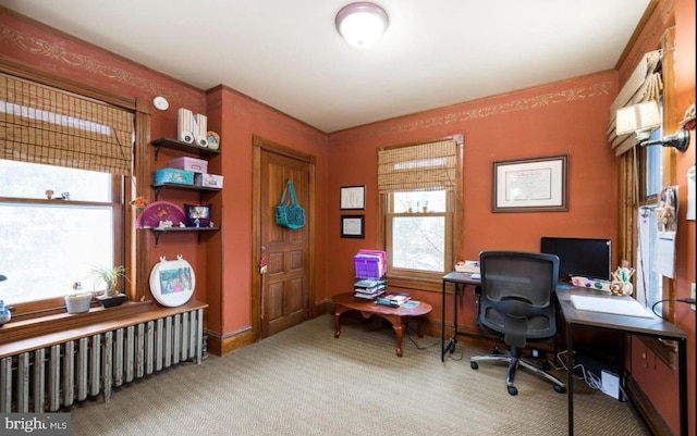 carpeted office space with radiator