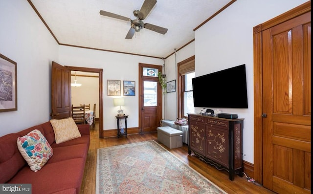 living room with dark wood-type flooring, ceiling fan, and ornamental molding