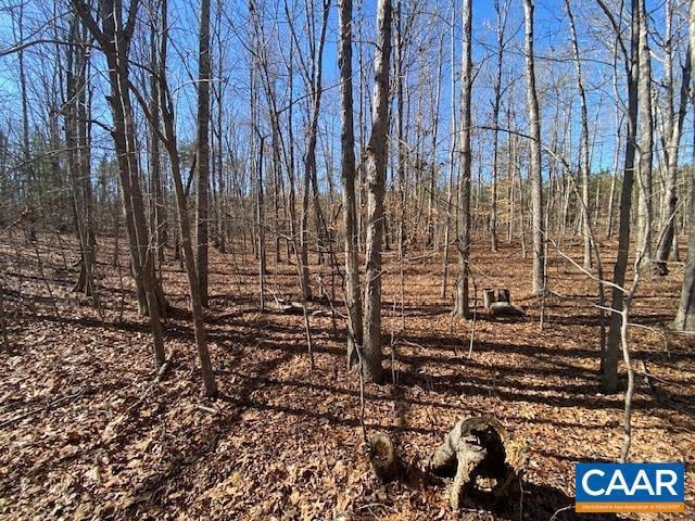 Listing photo 3 for 0 Pinehurst Dr Lot 198, Gordonsville VA 22942