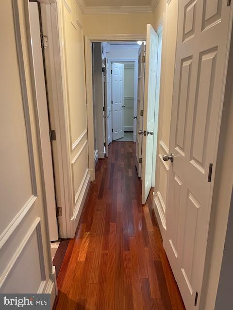 corridor featuring ornamental molding and dark hardwood / wood-style floors