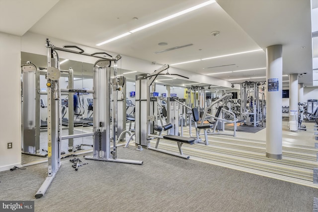 workout area with carpet flooring