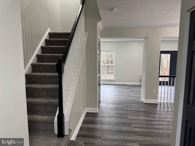 stairs with hardwood / wood-style flooring