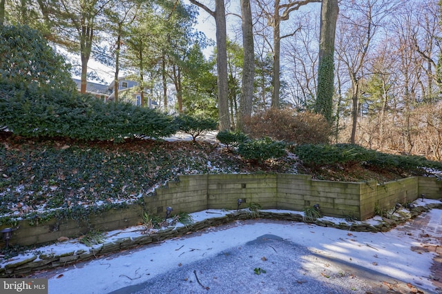 view of yard covered in snow