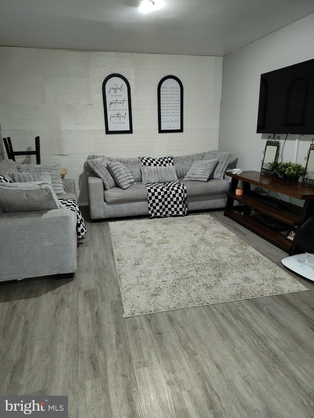 living room featuring light wood-type flooring