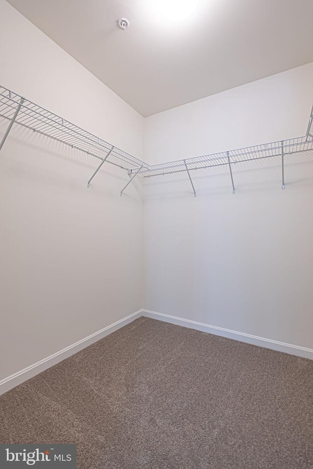 1404 N Chase St, Ocean Pines, MD 21811 - walk in closet featuring carpet
