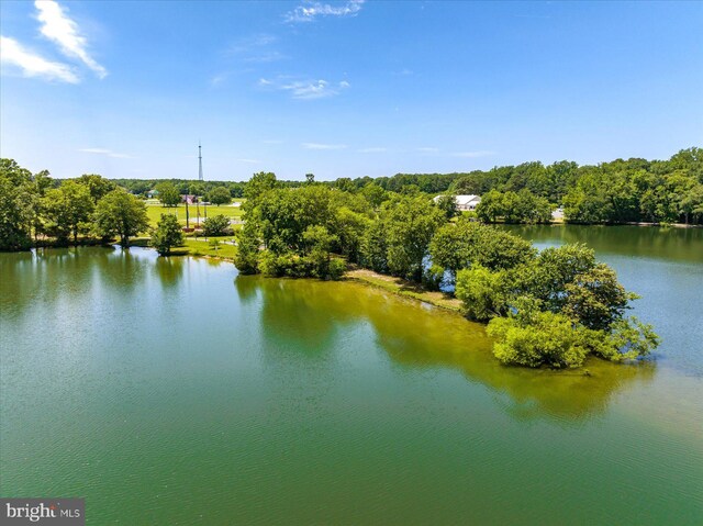 1404 N Chase St, Ocean Pines, MD 21811 - water view